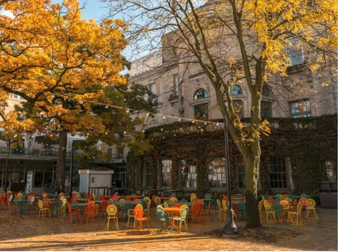 Custom illustration 8x8 of UW Madison Terrace - JenScribblesNY