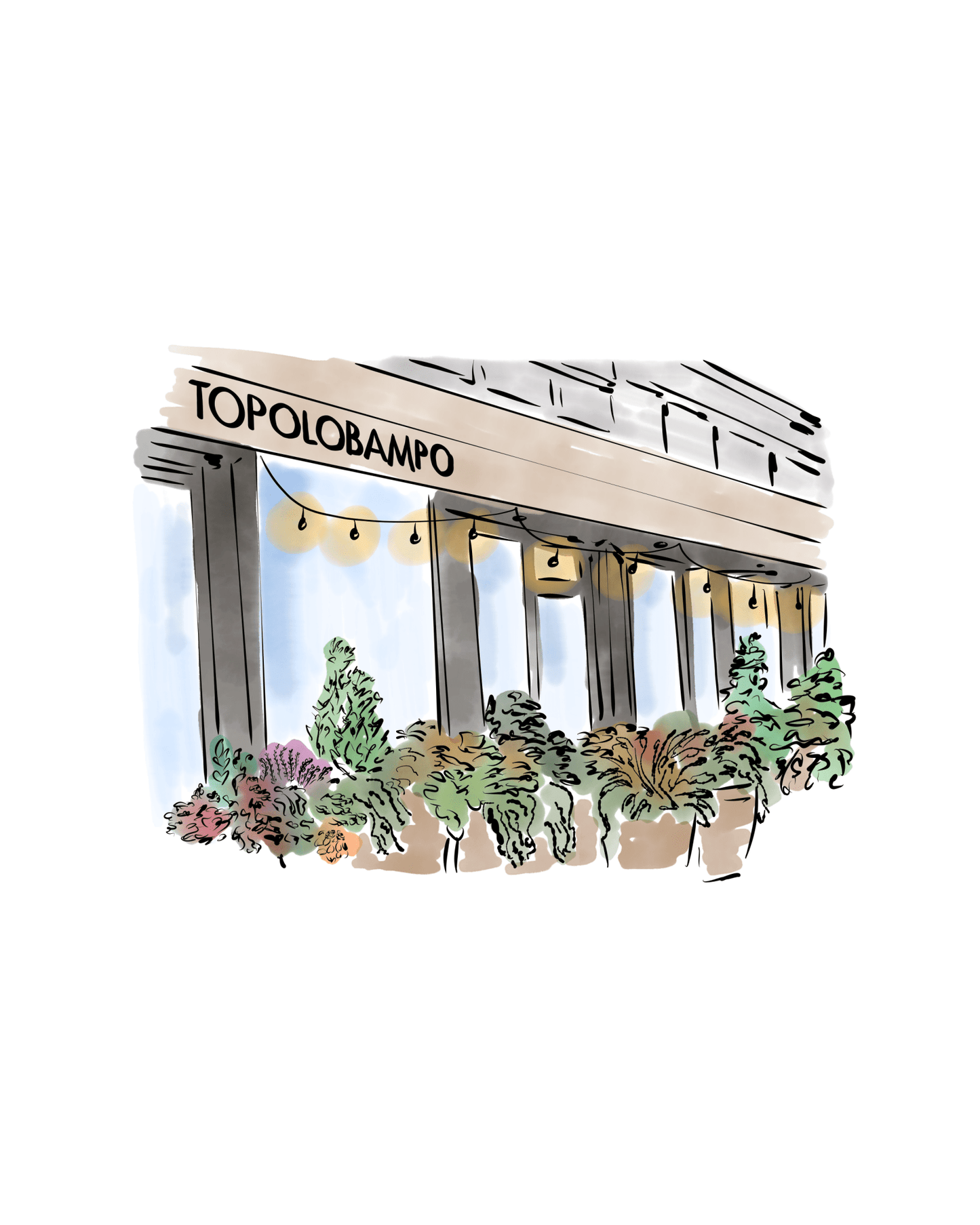 Topolobampo - JenScribblesNY
